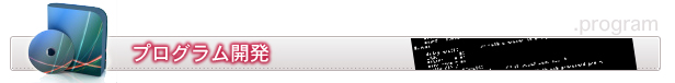 プログラム開発